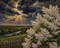 Light Born From Clouds