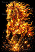 Amber Stallion